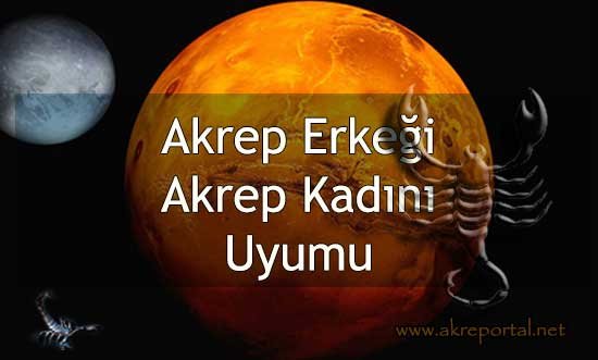 Akrep Erkeği Akrep Kadını Uyumu