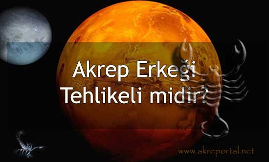 Akrep Erkeği Tehlikeli midir? Ne Yaparsanız Sert Tepki Gösterir?